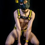 pupvoltzy (Pup Voltzy) free OnlyFans Leaked Content 

 profile picture
